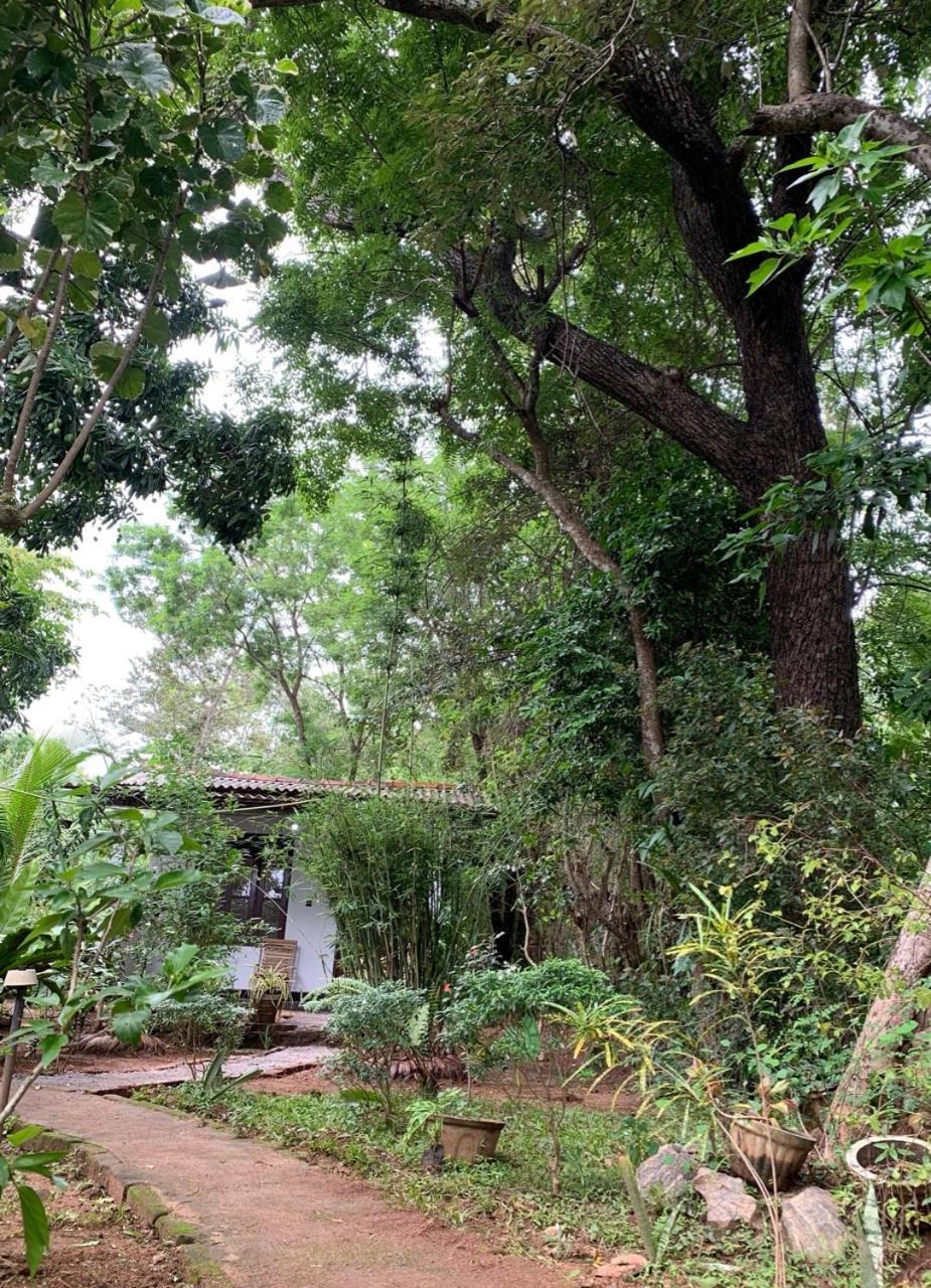 Manju Homestay Sigiriya Ngoại thất bức ảnh