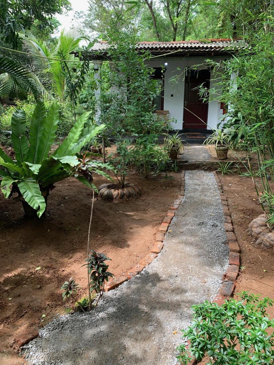 Manju Homestay Sigiriya Ngoại thất bức ảnh
