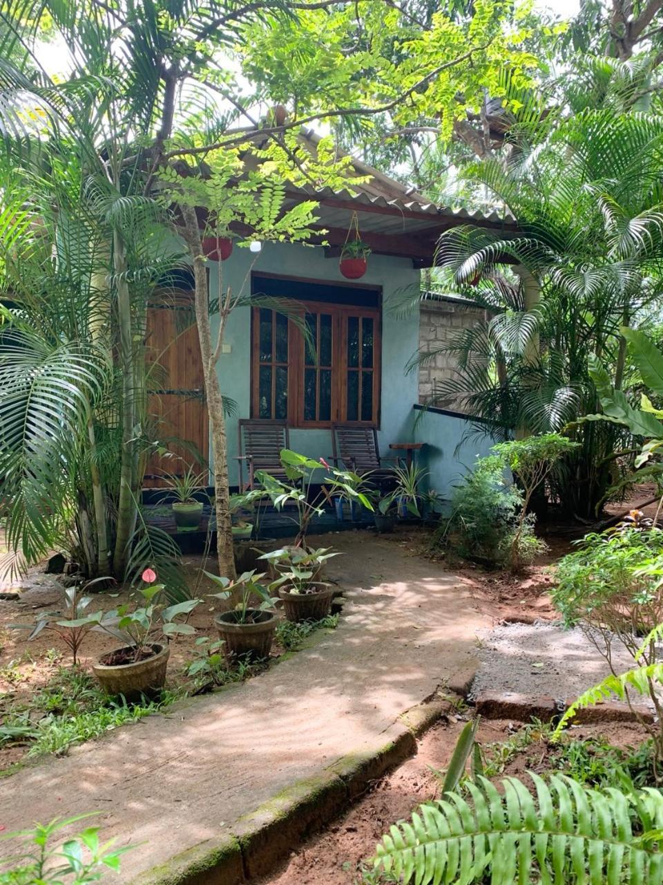 Manju Homestay Sigiriya Ngoại thất bức ảnh