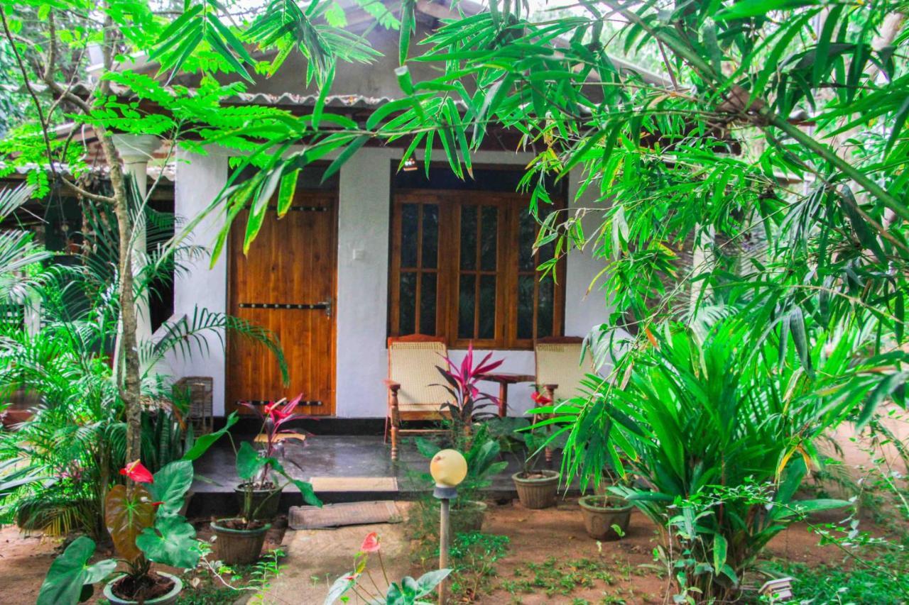 Manju Homestay Sigiriya Ngoại thất bức ảnh