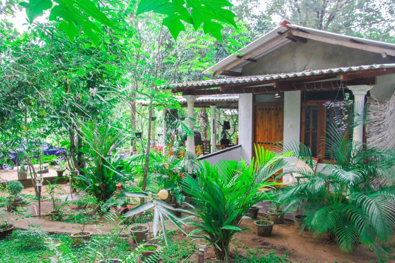 Manju Homestay Sigiriya Ngoại thất bức ảnh