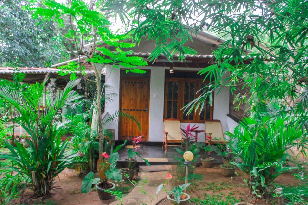 Manju Homestay Sigiriya Ngoại thất bức ảnh