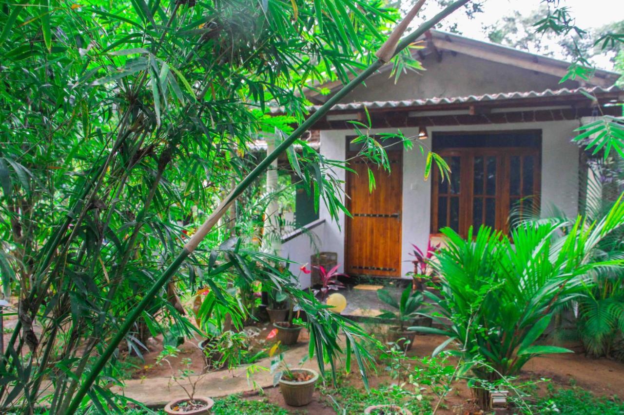 Manju Homestay Sigiriya Ngoại thất bức ảnh